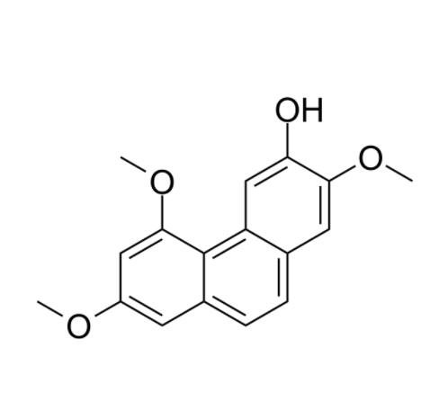 山药素I