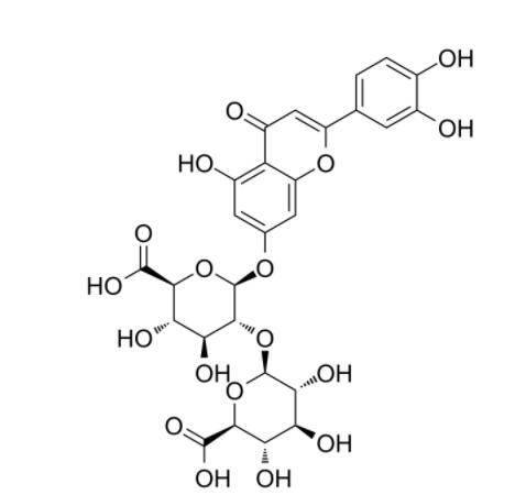 木犀草素7-地葡萄糖醛酸