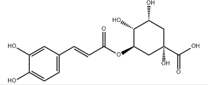 3-caffeoylquinic acid