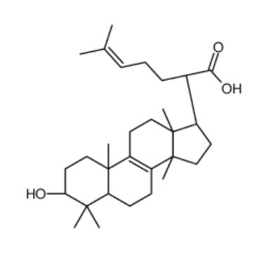 栓菌酸