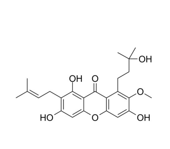 伽升沃 D